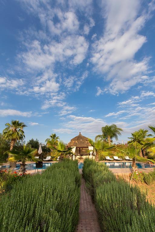 Ksar Salha Hotel Douar Drâa Kültér fotó