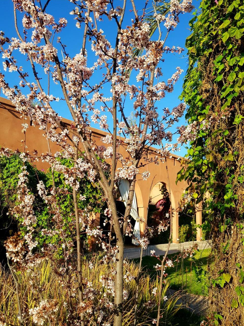 Ksar Salha Hotel Douar Drâa Kültér fotó