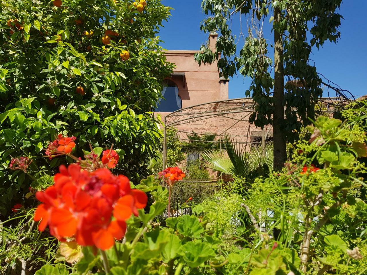Ksar Salha Hotel Douar Drâa Kültér fotó
